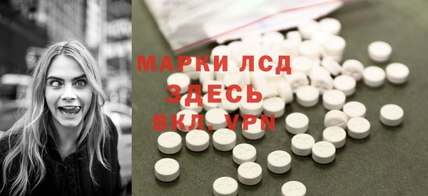 ГАЛЛЮЦИНОГЕННЫЕ ГРИБЫ Корсаков