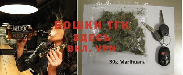 индика Красноперекопск