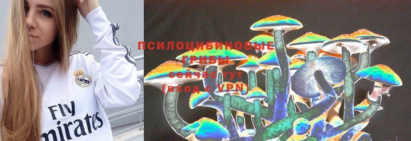 индика Красноперекопск