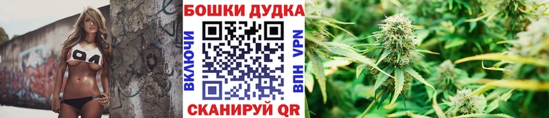 Купить закладки  Новосибирск  Конопля LSD WEED 